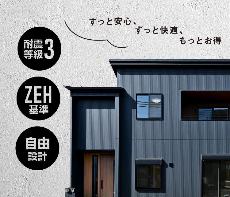 SAN+Lite