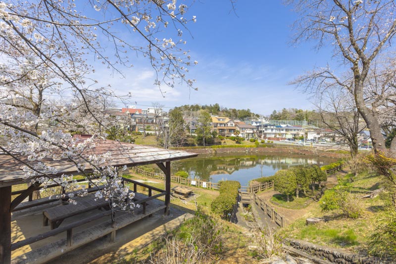 八津池公園（入間市）