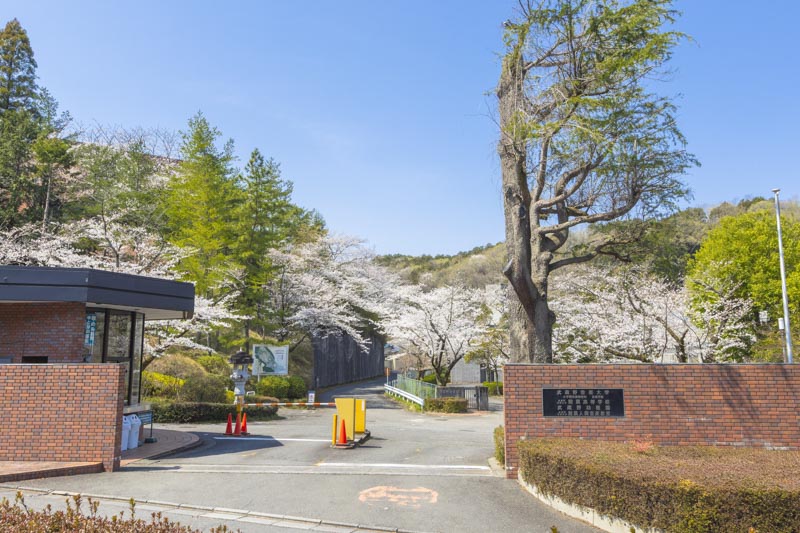 武蔵野音楽学園