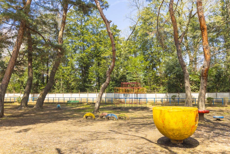 入間市中央公園