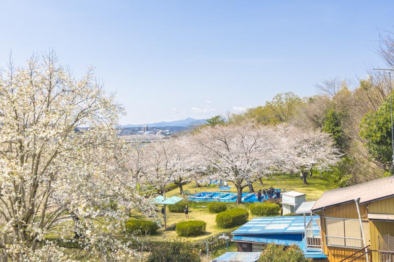 野田河川公園