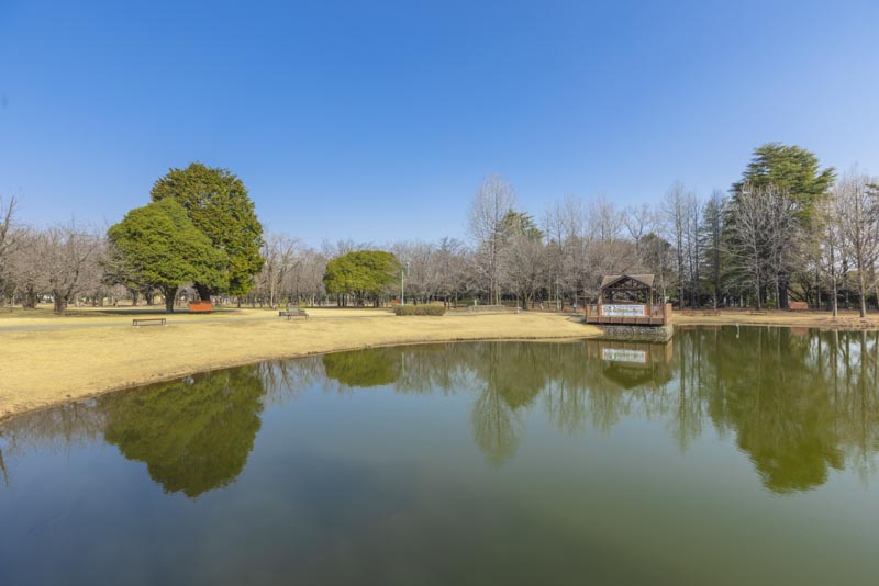 彩の森入間公園