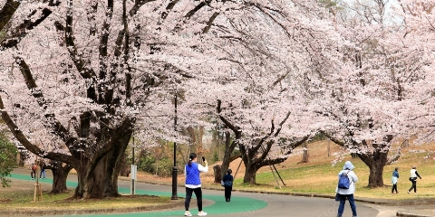 狭山稲荷山公園