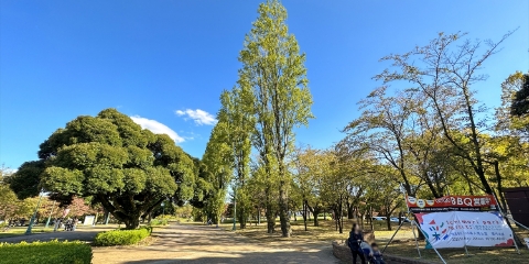 彩の森入間公園