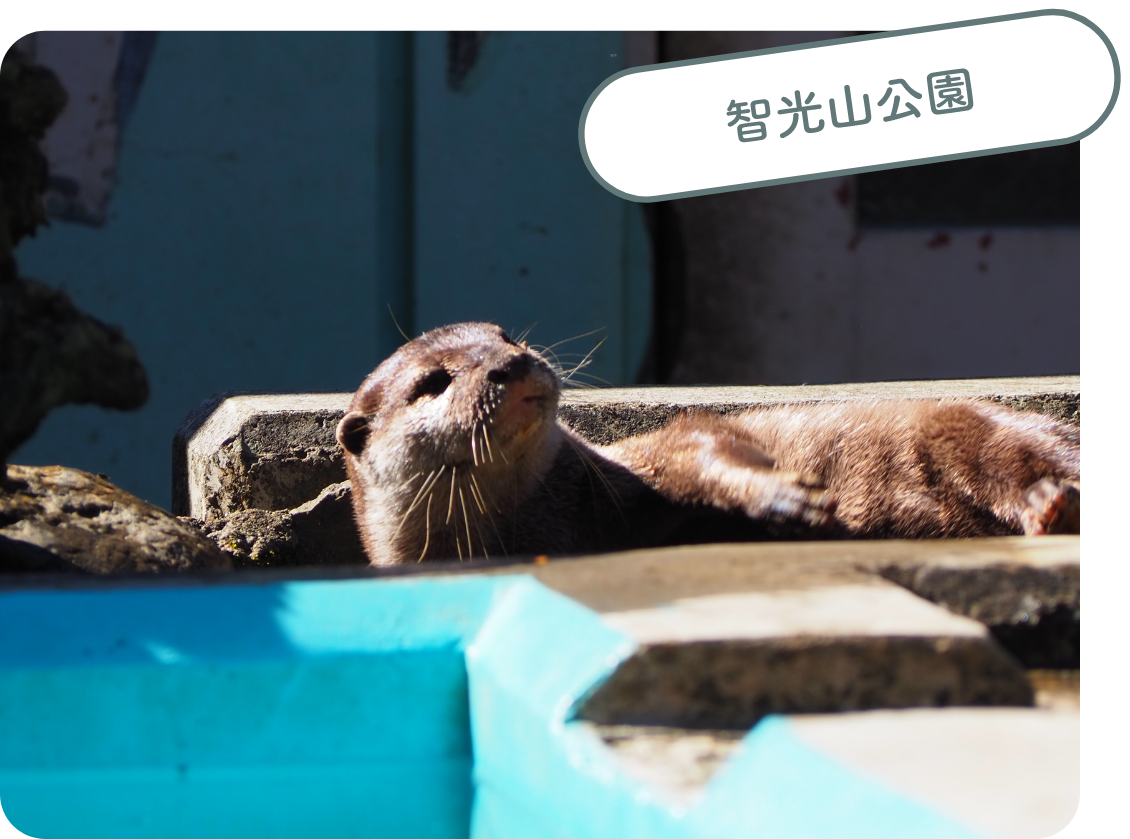 智光山公園
