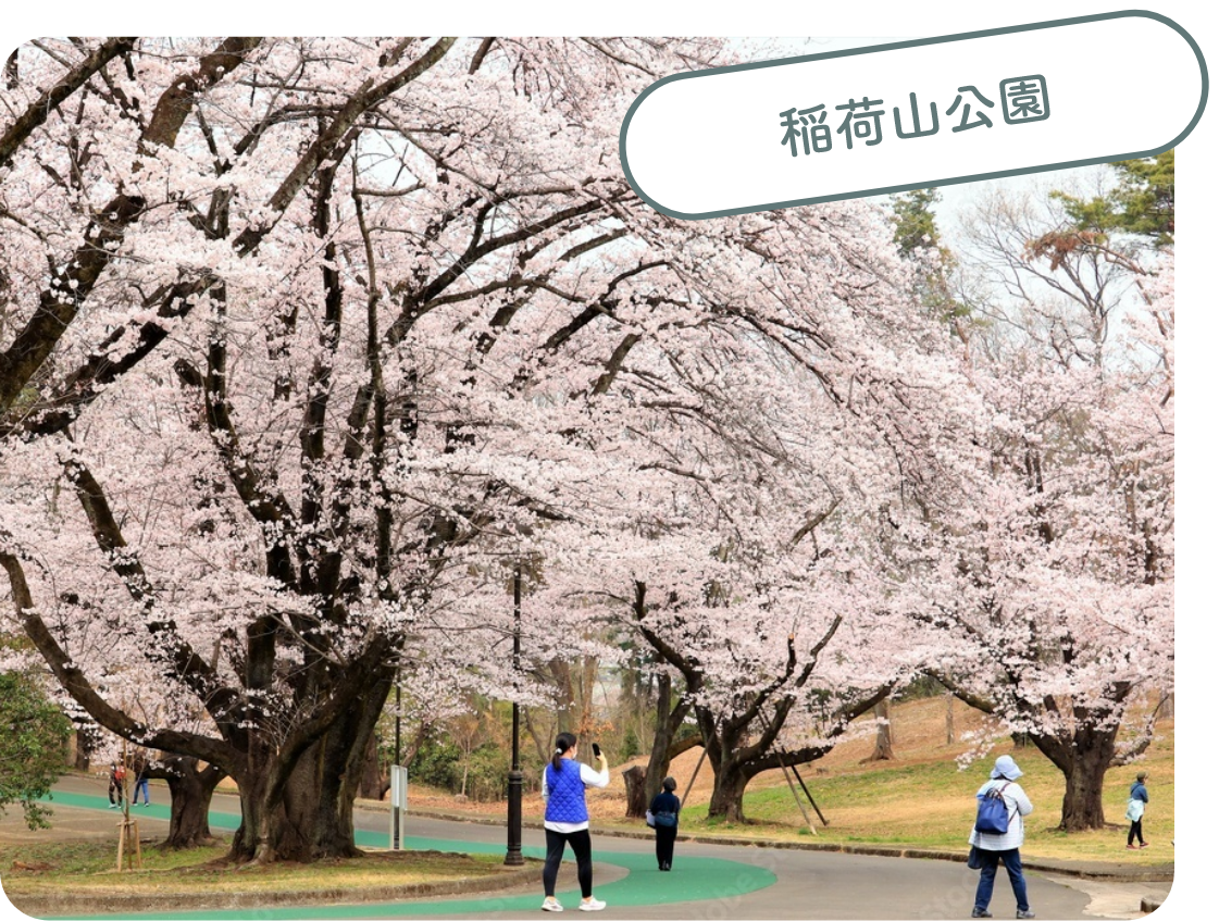 狭山稲荷山公園
